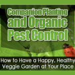 Organic Planting and Organic Pest Control